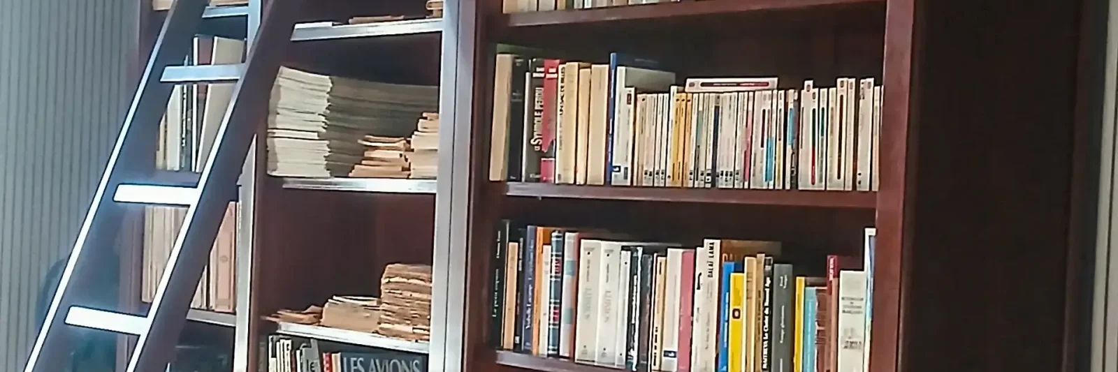 bibliotheque maison hotes espace lecture calme