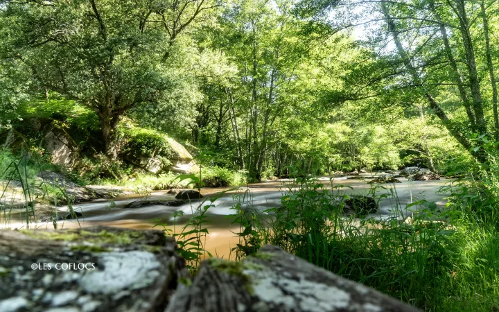 Arboretum de la sédelle à Crozant